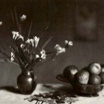 Fiori e frutti Fiori e frutti
