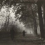 Ultime foglie (Autunno) Ultime foglie (Autunno)