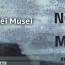 Notte dei Musei 2016