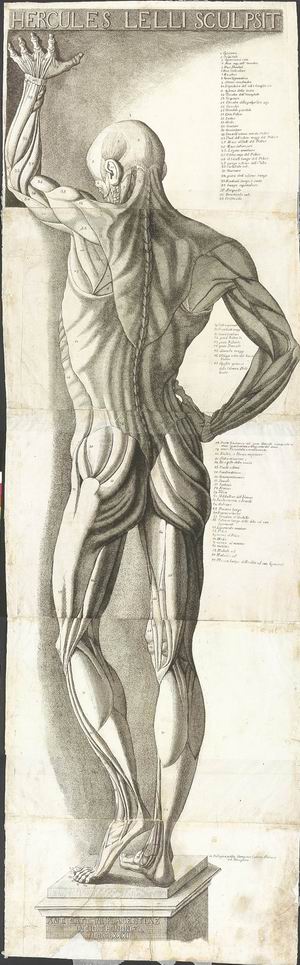 1_13 Antonio Cattani (attivo Bologna 1780), da Ercole Lelli (Bologna, 1702-1766) Spellato, 1780 Acquaforte e bulino