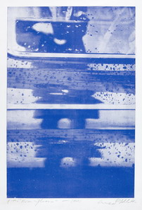 Rosa riflessa, 1966 acquaforte fotografica, mm 537x360 (700x500)