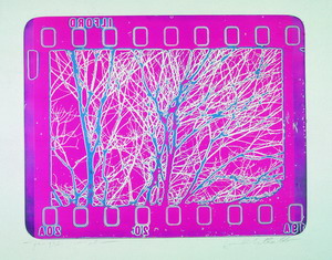 Paesaggio colorato, 1966 (2007) acquaforte fotografica a colori simultanei, mm 412x505 (700x1000)